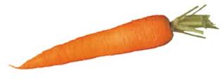 une carotte.jpg